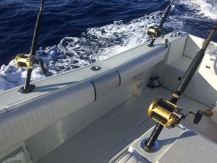 Three Gold Series International Peen fishing reels in pole holers on back of the boat